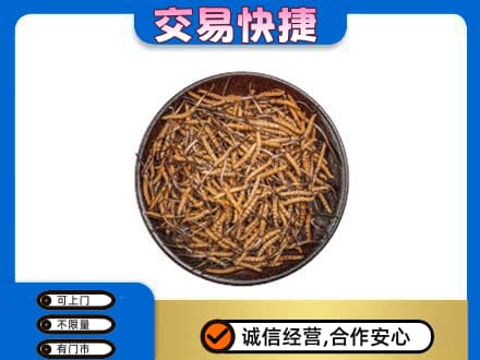 红河泸西县高价回收散虫草